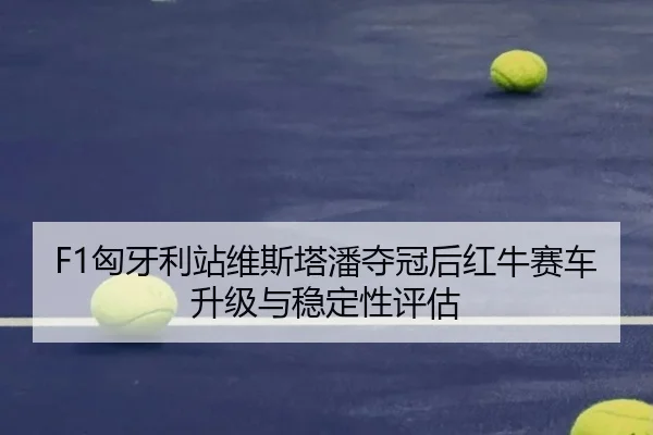 xiong-ya-li-zhan-wei-si-ta-pan-duo-guan-hou-hong-niu-sai-che-sheng-ji-yu-wen-ding-xing-ping-gu-2-280.jpg